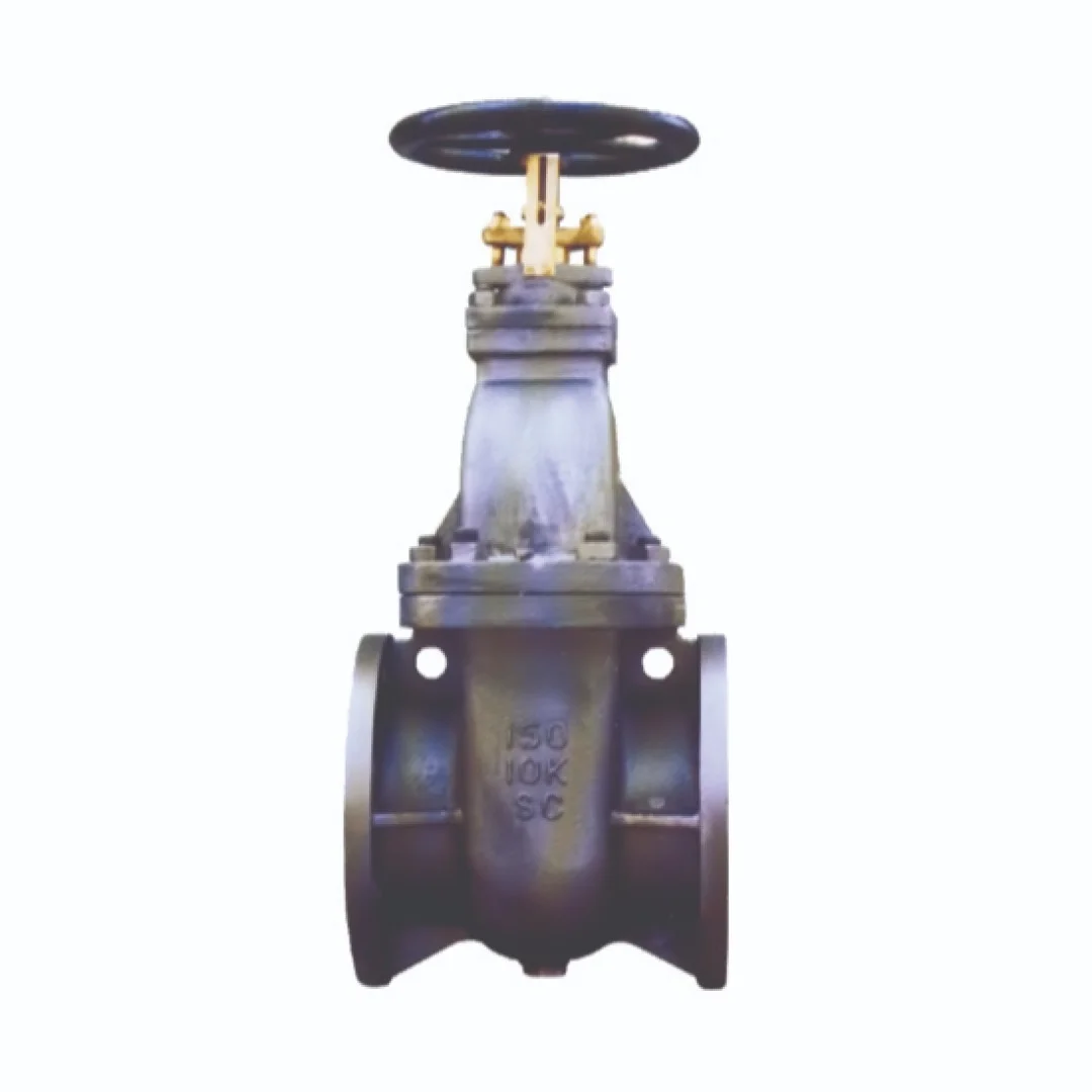 MARINE GATE VALVE  - Marine Valves showing detailed view with specifications and design features in realistic presentation